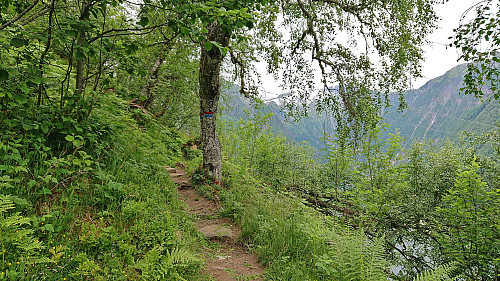 The trail to Balabu