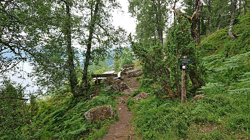 Orrabenken