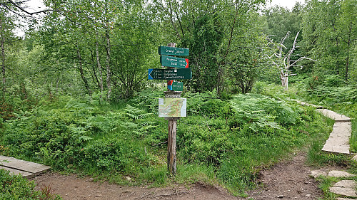 The final crossroads before Balabu
