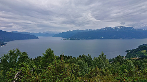 Looking back at Vangsnes from the ascent to Klukkshaug