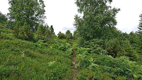 The unmarked trail from Balabu to Klukkshaug