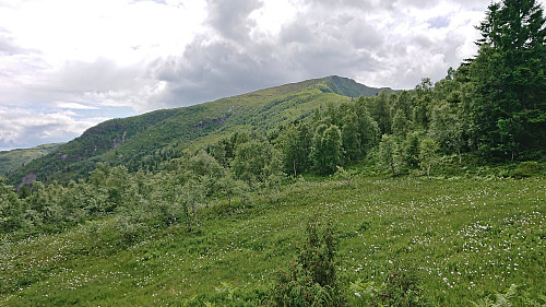 Raudmelen from the ascent to Klukkshaug