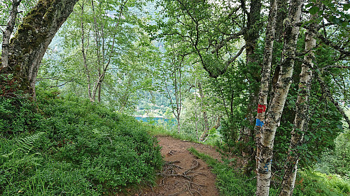 Descending along the marked trail with Esefjorden in the background