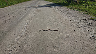 Hoggorm at Mollandsmarki