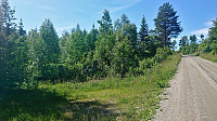 Stuaflåten trailhead