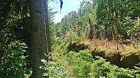 Start of the trail to Stuaflåten