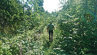 Start of the trail to Stuaflåten