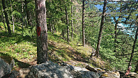 Marked trail from the bench