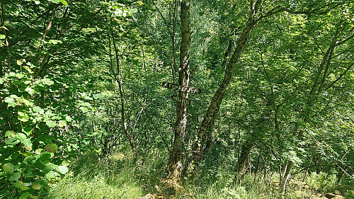 Crossroads: Stuaflåten or Hidleren