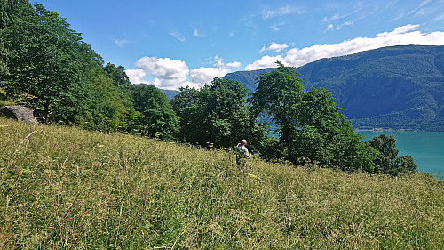 Trying to relocate the trail at the other side of Hidleren