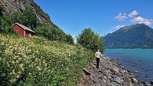 Walking along Lustrafjorden to Eikjabu