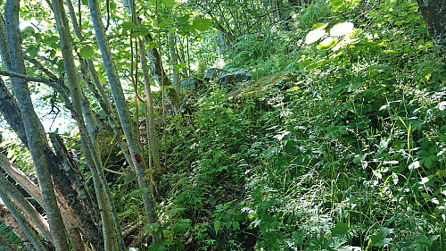 Ascending to Mollandsmarki along the marked trail