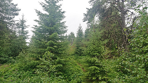 Approaching the summit cairn