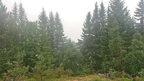 The limited views from Storehaug