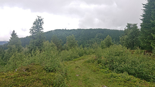 Towards Bondehaug from the descent from Storehaug