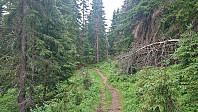Trail towards Røymsstølen
