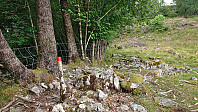 Marked trail
