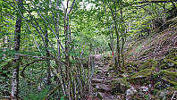 Following the marked trail