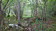 Trail marked with red yarn..?