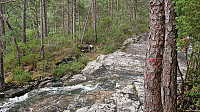 Trail marked with red yarn..?