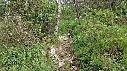 Finally back on a proper trail