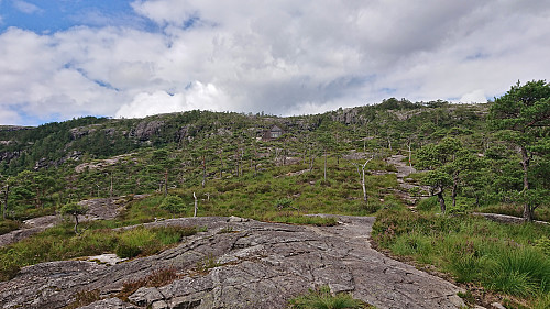 Vetlavardhytto from Vetlevardhaugen