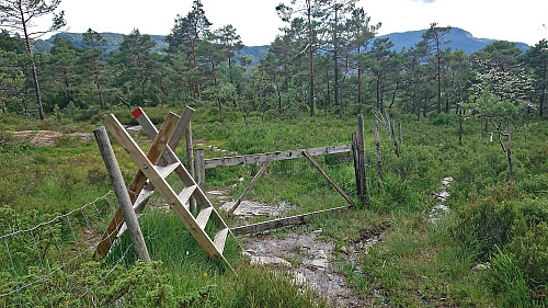 Ladder used during the descent