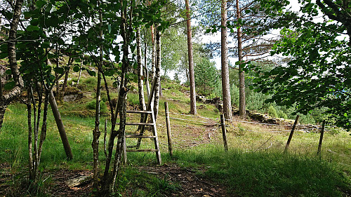 The ladder missing some red paint where I instead followed the red yarn