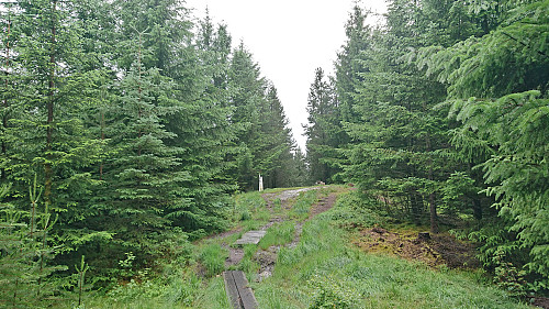 The highest point at Hamrefjellet