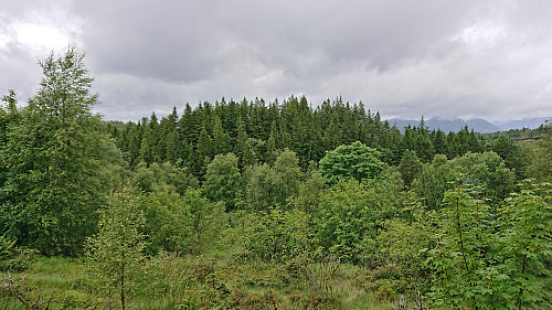 Bjørnevasskletten from the south