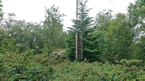 The summit of Revhaugen north of Bjørnevatnet
