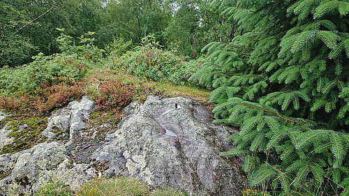Trig bolt at Revhaugen