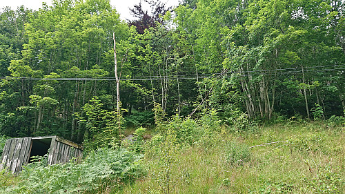 The start of the ascent to Marietoppen