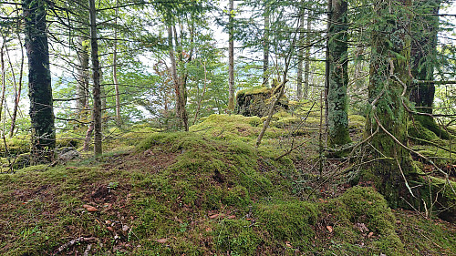 The highest point at Marietoppen