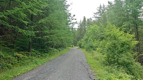 The southern part of Løvstien