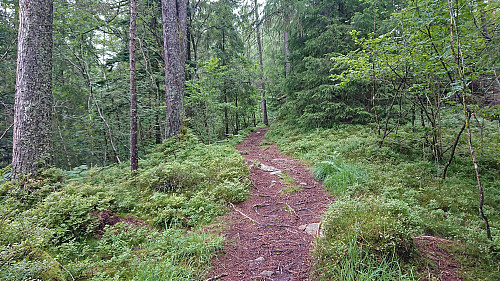 Shortcut in between the gravel road of Løvstien