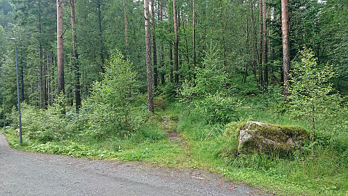 The start of the trail to Litla Langafjellet søyle