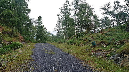 Trail to Smogakampen