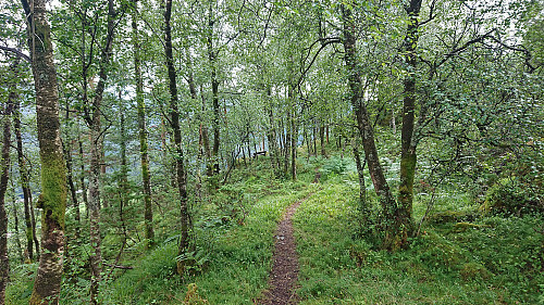 Trail to Smogakampen