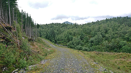 Approaching Stemmedalshaugane with Hausdalshorga in the background