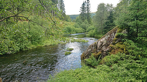 North from the bridge