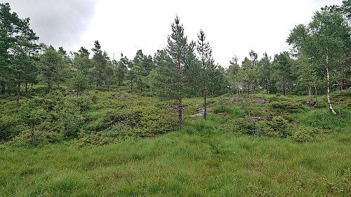 Weak trail to Stemmedalshaugane