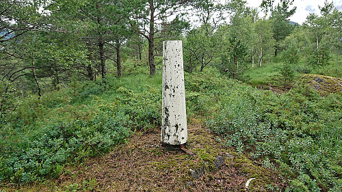 The trig marker at Stemmedalshaugane