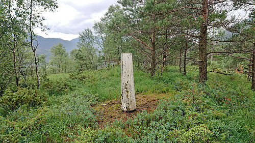 The trig marker at Stemmedalshaugane