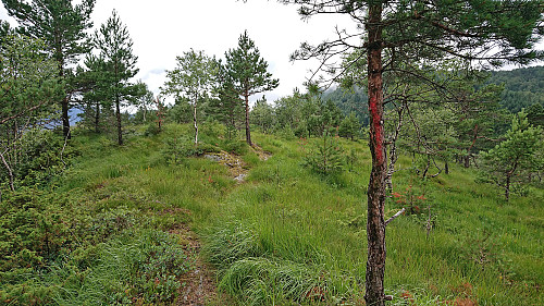 Trail markers noticed on the descent