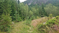 The weak and wet stølsvegen