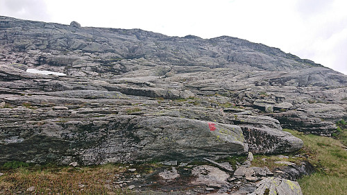Trying to follow the red trail markers to Vetlevarden