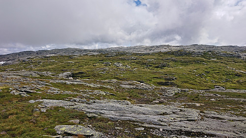 Towards Storfjella/Storevarden from Vetlevarden