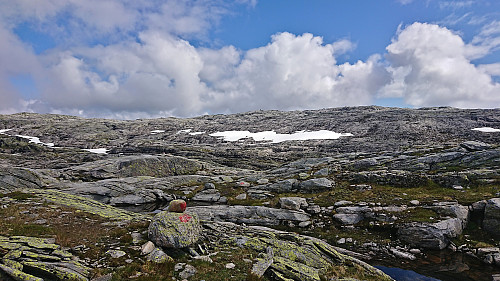 Approaching the summit of Storfjella/Storevarden