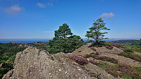 The summit of Sør for Børøysåta